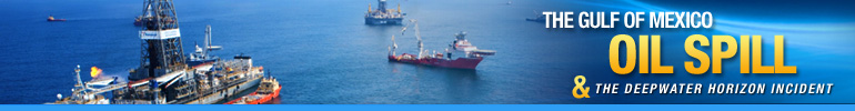 Deepwater Horizon Gulf of Mexico Oil Spill