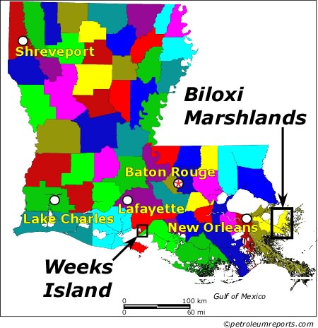 Biloxi Marshlands/Weeks Island, Louisiana