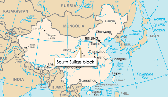 South Sulige block 