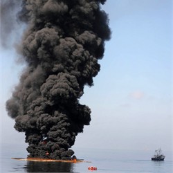 Oil burns during a controlled fire