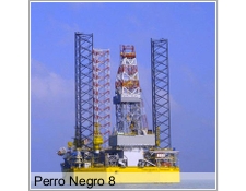 rig photo