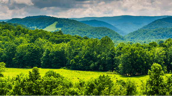 Appalachia Group Awards Contract for $3.4B Ethane Storage Hub