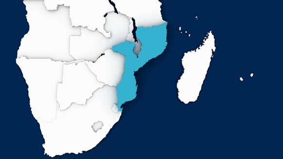 Offshore Mozambique Block Goes to Eni
