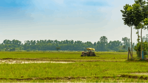 Indian Farmers Improvising Diesel Substitutes