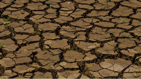 Brazil Needs More LNG Amid Worst Drought in Decades