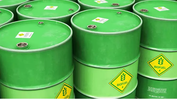 Exxon Buys Stake In Norwegian Biofuels Company