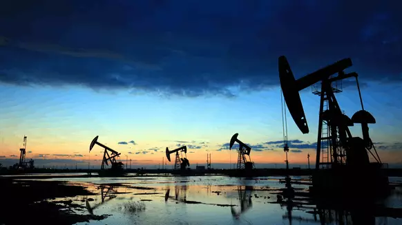 Biden Must Ensure U.S. Energy Security Amid Aggression On Ukraine, AEA Says - Vimarsana News