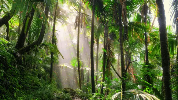 Oceaneering Working on World First Jumanji Ride - Vimarsana News