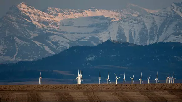 Canadian ESG Market Faces Greenwashing Risks Over Poor Data - Vimarsana News