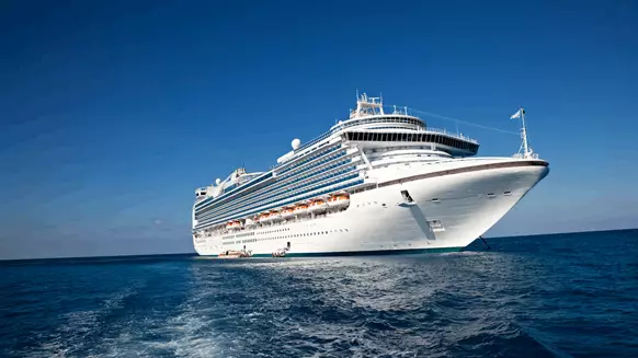 Eagle LNG Inks Bunkering Deal With Royal Caribbean - Vimarsana News