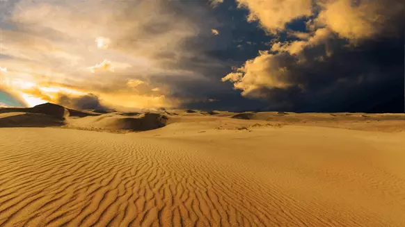Sonatrach Makes Massive Gas Find In Sahara Desert
