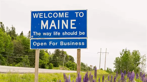 U.S. Government Going All Out With Offshore Wind In Gulf of Maine - Vimarsana News