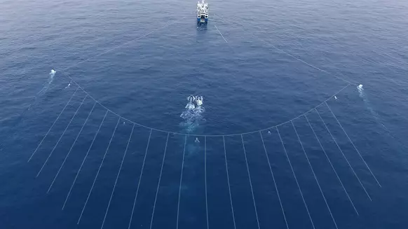 TGS Tagged For 3D Seismic Survey Off North West Australia - Vimarsana News