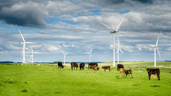 Alberta Imposes New Necessities on Renewable Initiatives