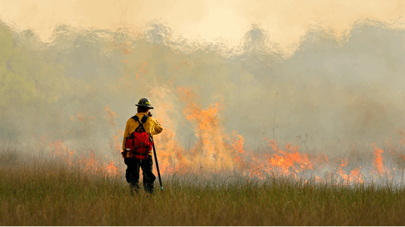 CAPP Flags Rapidly Changing Wildfire Conditions