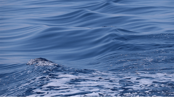 Crew Evacuated from Houthi-Stricken Oil Tanker in Red Sea | Rigzone