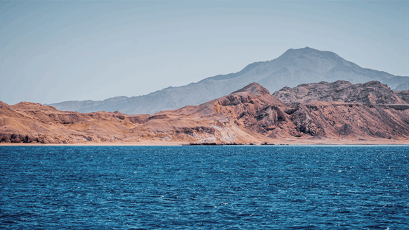 Dryad Flags Reported Incidents of Vessels Being Targeted in Red Sea - Vimarsana News