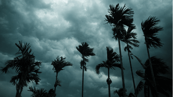 EIR Looks at Hurricane Impact on Gulf of Mexico Oil Production - Vimarsana News