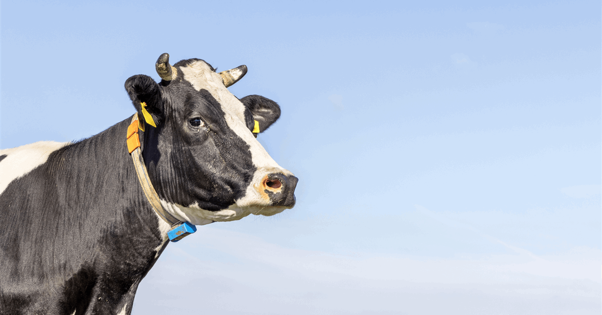 Equinor Divesting Full Onshore Place in Vaca Muerta Basin