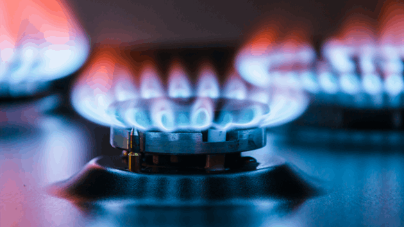 FortisBC Denies Gas Greenwashing as Suit Awaits - Vimarsana News