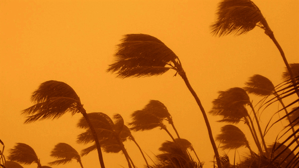 Gulf Of Mexico Disturbance Turns Into Tropical Storm Harold Rigzone