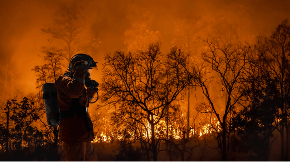 Has Oil and Fuel Manufacturing Been Affected by the Texas Wildfires?