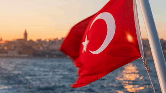 Hundreds of Ships Stuck as Turkish Strait Closed by Wildfires - Vimarsana News