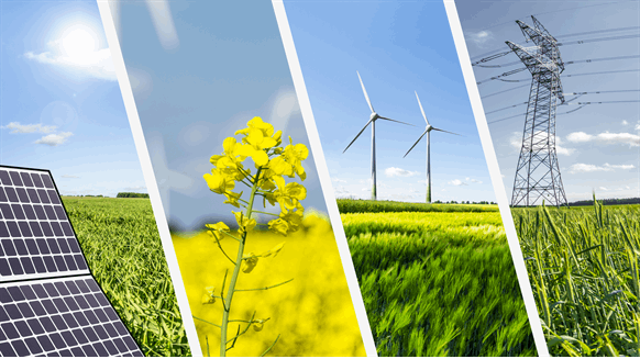Macquarie Launches New Onshore Renewable Firm in Australia - Vimarsana News