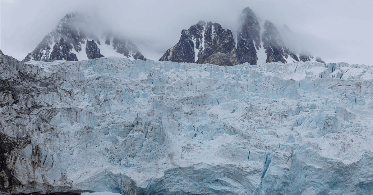 Oil Corporations Skip Public sale for Arctic Refuge Drilling Rights