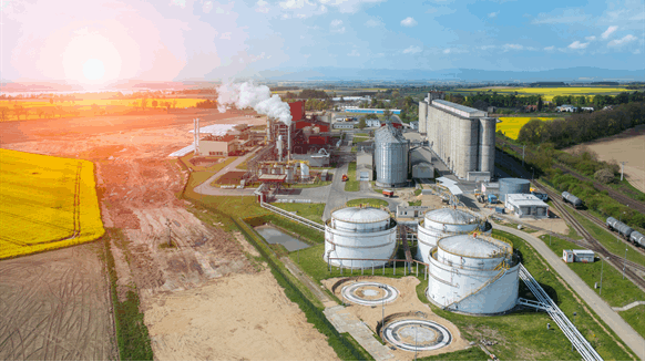 Terviva Biofuel Feedstock Manufacturing Will get Increase from Chevron Partnership