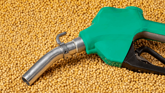Tidewater Starts Commercial Operations for Renewable Diesel Plant - Vimarsana News