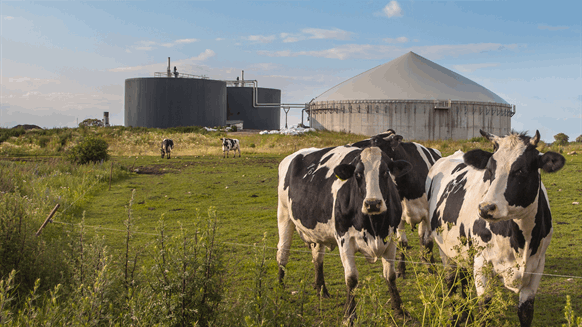TotalEnergies Acquires Biogas Stake