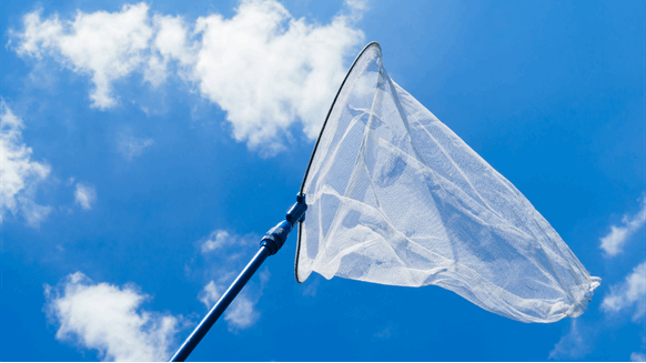 Trafigura to Buy Emission Offsets from Occidental CO2 Removal Project - Vimarsana News