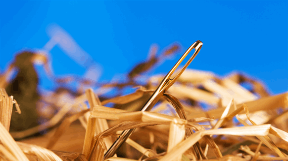 How to Find the Needle in the Big Data Haystack