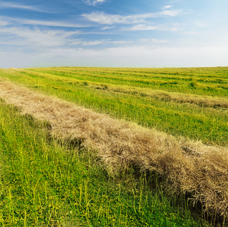 North Dakota Booms into Energy-Rich Era